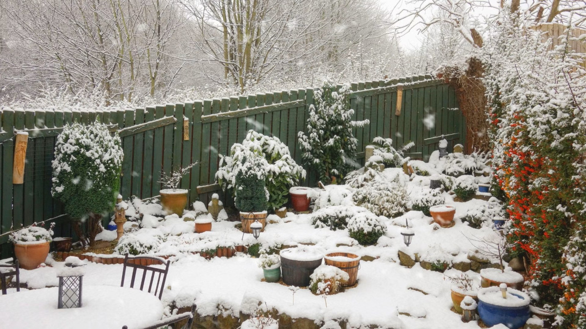 Как подготовить сад и огород к зиме: важные советы на ноябрь