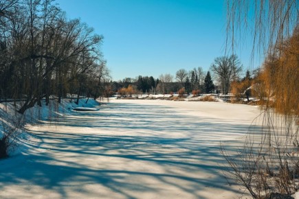 ���������� �� +14 �������� ��������� � ������� ������� 11 �����