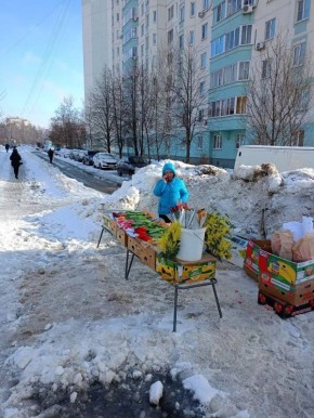 «Штраф 500 рублей — это мертвому припарки»: Хинштейн предложил увеличить наказание за стихийную торговлю в Курске