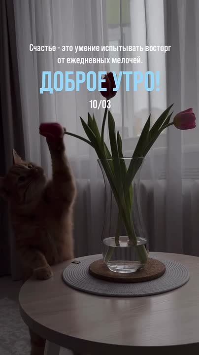 ������ ����!. ���������� �������� ������� ������! ����� ���� ��� � �������� ����������!