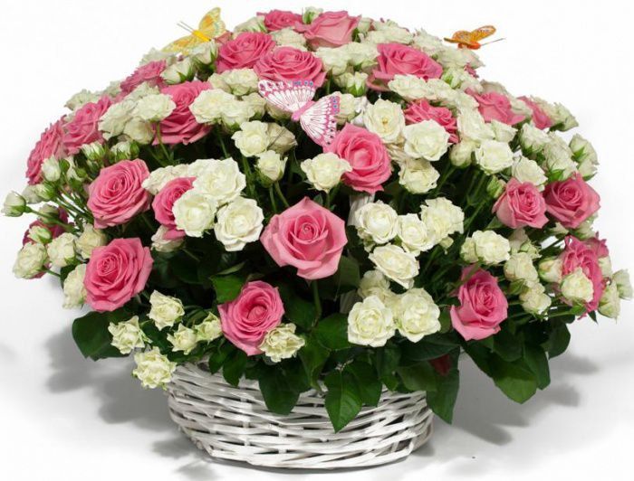 �������� ������: �� ���� ����� � �� ���� ���������� ������������� ������ �������� ���������� � ������� ������������ ���������� �������� ������������� ����������������� ������ ������� ������� ��������!