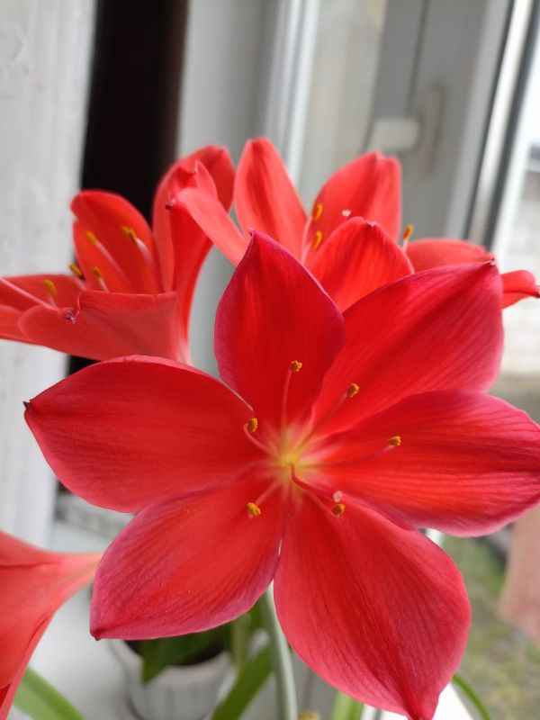 ������� ����!. ������� ������ ����� �������� ������: �� ���� ������ ������ ���������� �� +12�