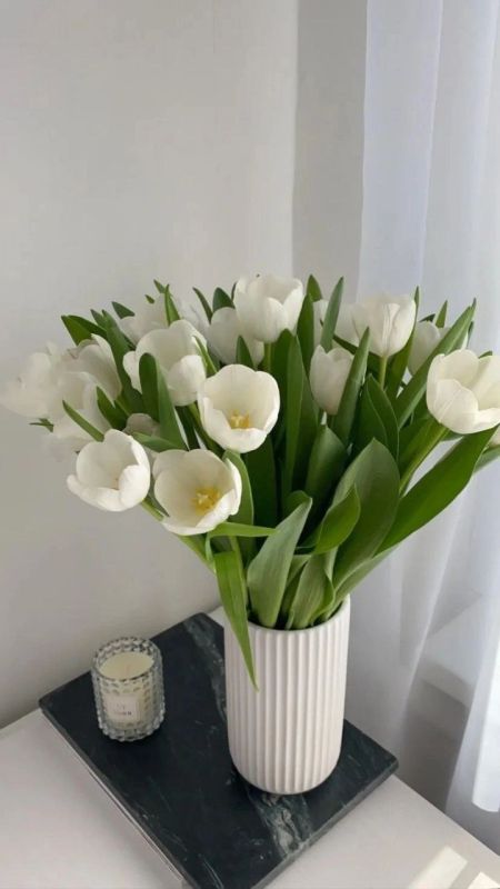 ������ ����!. ����� ����� ��������� � �����