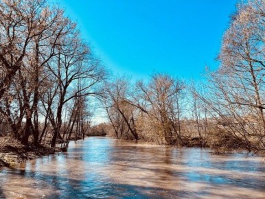 ��������� ��������� ����� ������� ������� �������� ��� �������� ����� �����, �������������� ���������������� �������