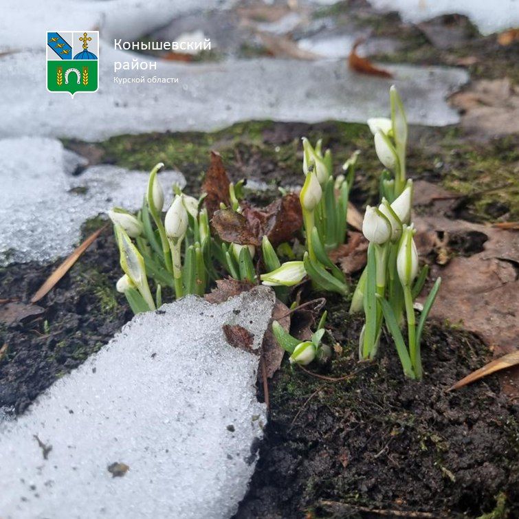 ������ ����!. ������� ����� �����������, �� +10�C, ������� �������