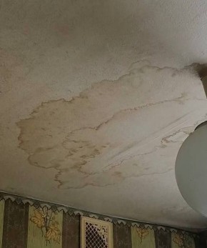 � ������ ���������� ��������� ��������� ����������� ������ �����