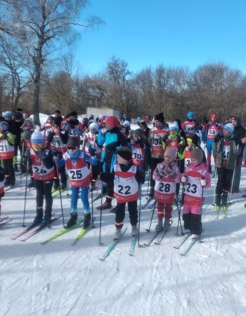 � ������ � ����-������ ����� "��������" ������ ��������� ������������ �� ������ ������