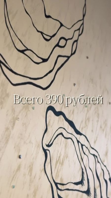 �����, �������� � �� ��������� �������� ��������� ����� ��� 24.04.2026 � 12:00