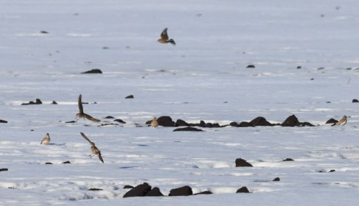 � ������� ������� ��������� ���������: ����� �������� �������