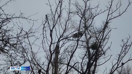 �������� ������. ���������� ������� �� ��������� ������� �����������