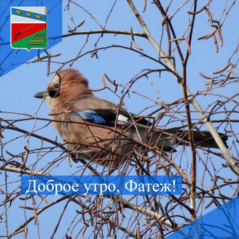 ������ ����. ����� ���� ������� �������� ��� ����� ������� � �����������