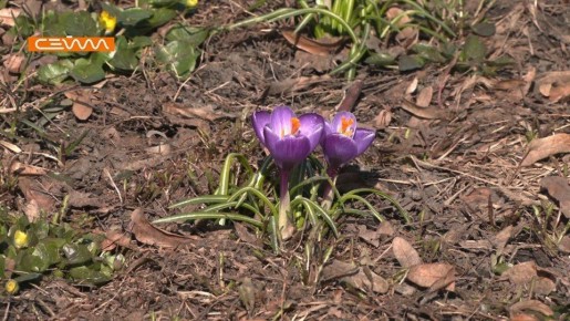 #�����������. ������, 13 �����, � ������ ����� �����������, ��� �������