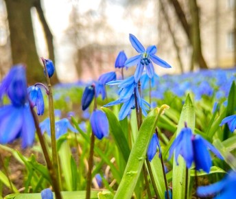 ������ � ��������� ������ ������ � ������� ������� ������ � ������������