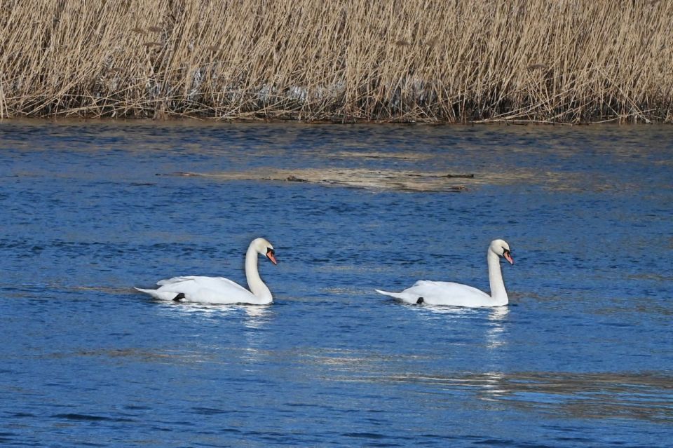 ������ ����!. ������ ���������, ������� � ���������� ���! ��������, �������� � ����������� ����������! ���� ������� �������� #������������_�����