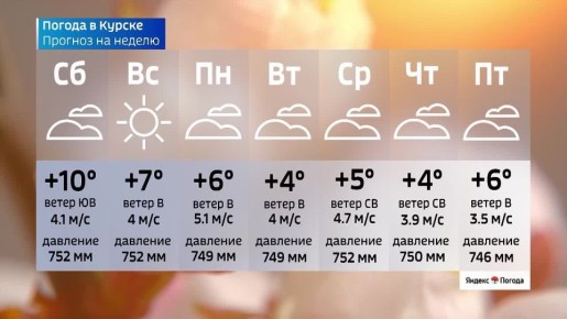 �� 13 �����. ����� ������ | �������� | MAX