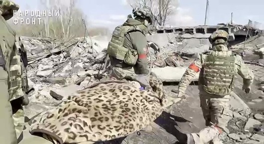 "������� ������� ������ ���������������, ����� ����� ������ ����"