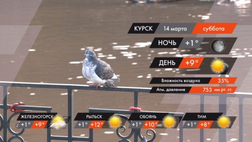 #�����������. ������, 14 �����, � ������ ����� �����������, ��� �������