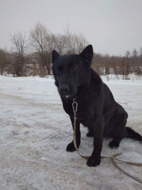 ��������� ������� ����� � ���� ���� �� ������ �� ������� �������