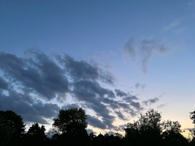 В Курской области 14 марта ожидается до +13 градусов