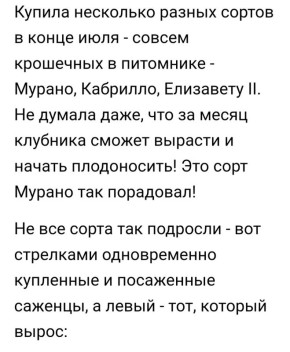 ����� �� ����: �������� �� �������� ������ ������������ ��������?