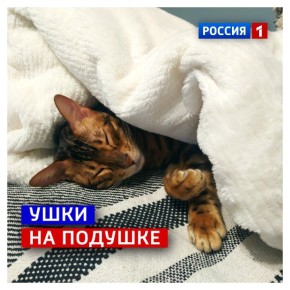 14 �����, �������. ������� ����� ������� ��������