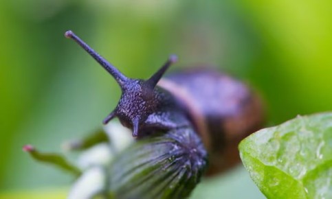 ����������� ������ ������ �� �������� � ����: ������ �������� � ������ ����� �� �������