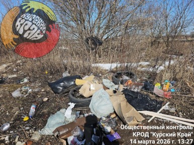 В Курске незаконно сваливают мусор в Сеймском округе