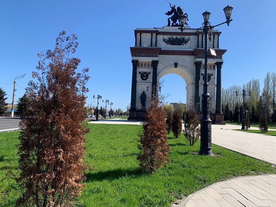 В Курске меняют подход к озеленению