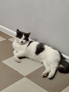 �������� ����� ������ �������, ������ ������!