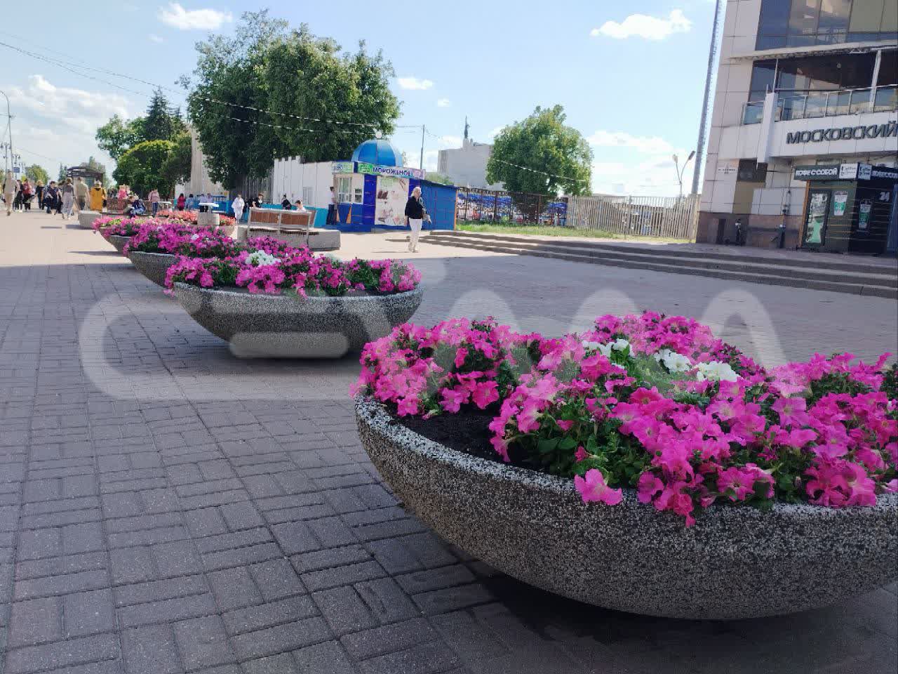 Александр Хинштейн настаивает на том, чтобы озеленением Курска занималось муниципальное бюджетное учреждение