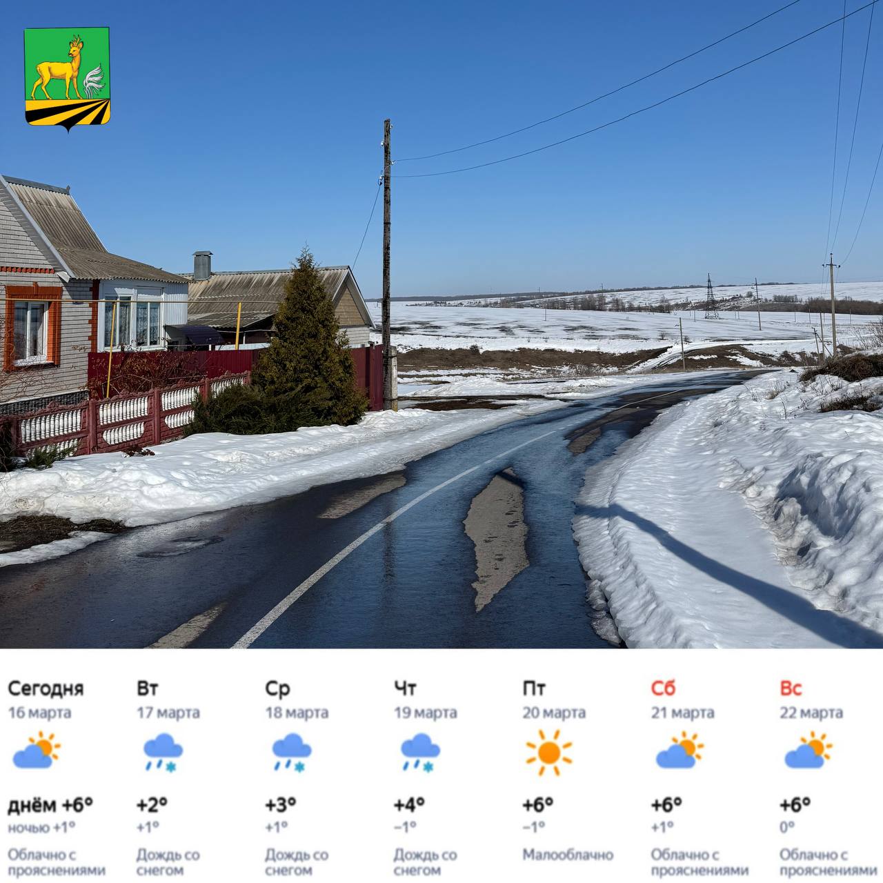 Доброе утро! Весна вступила в свои права