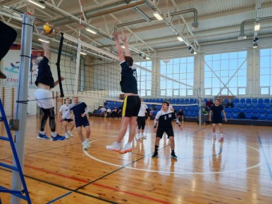 �������� ������: �����, 15 ����� 2026 �., � ������� ���� ��� ��� ����� ����� ����� ���������� ����� ������� �.�. ������ ������� ��� ���������� ������������ ������ �� ��������� 2026 ����, ������������ 81-��������� ������ �...