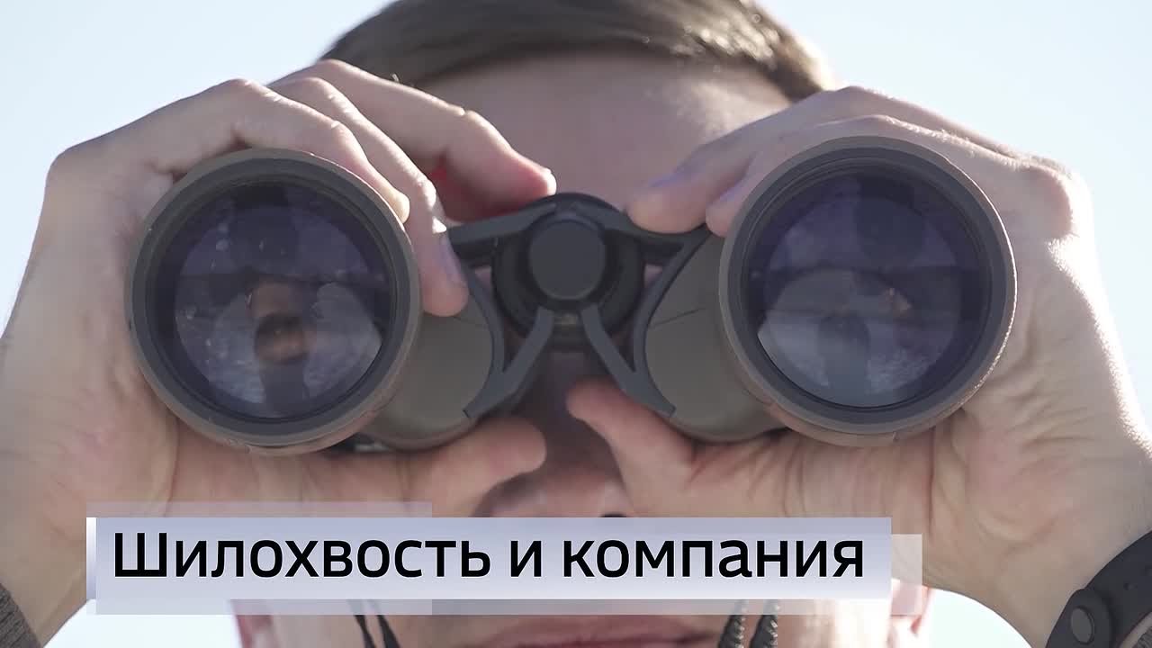 11111 Главные темы выпуска «Вестей Курск» —прямо сейчас в нашем эфире: