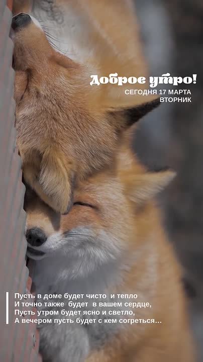 Доброе утро, Щигровский район!