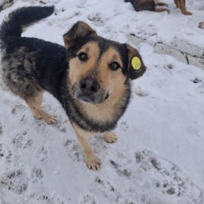 ������� �������: ������ �� �������������� ������� � ��������� ��������� ��������?