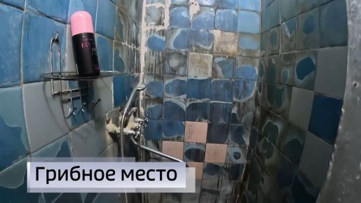 11111 ������� ���� ������� ������� ����� � ����� ��������� ����� � ����� �����: