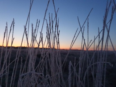 � ������� ������� 19 ����� ��������� ������� ��������� ������ � �� +8 ��������