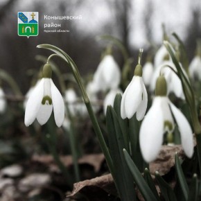 ������ ����!. �� ����� ��������, ���� �� +6�C, �������� ��������� ������, ����� +1�C