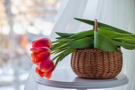 ������ ����, ������!. � �������, 19 �����, ����� ������� � ��������