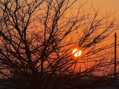 �������� ����� ������� ���� ���������� ��� �������