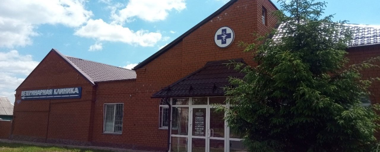 В апреле текущего года Курская городская станция по борьбе с болезнями животных начинает ежегодный месячник профилактики бешенства