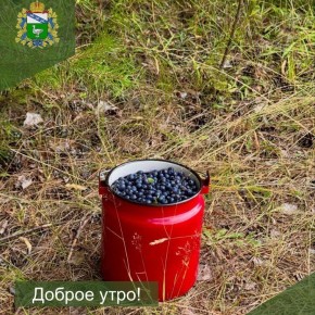 �� �������� ��������� �����