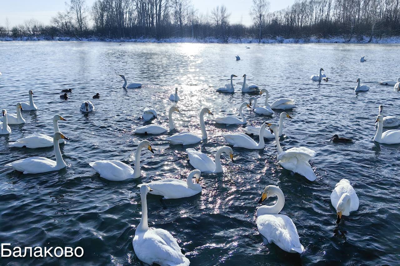 Места, где встречают рассветы Места, где встречают рассветы
