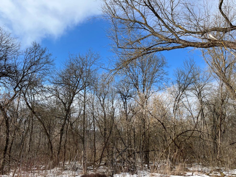 Весна набирает обороты. Западный антициклон принесет в Курскую область ясную и сухую погоду