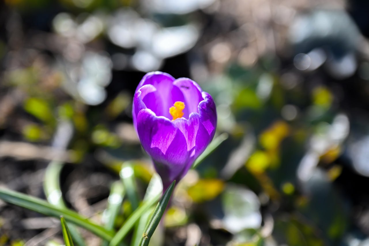 В Курской области новая неделя начнется с потепления