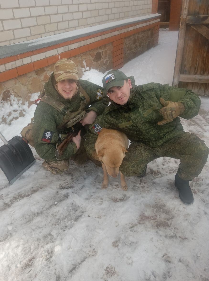 Активисты проекта «Защита животного мира» передали партию кормов для бездомных животных Коренево Активисты проекта «Защита животного мира» передали партию кормов для бездомных животных Коренево