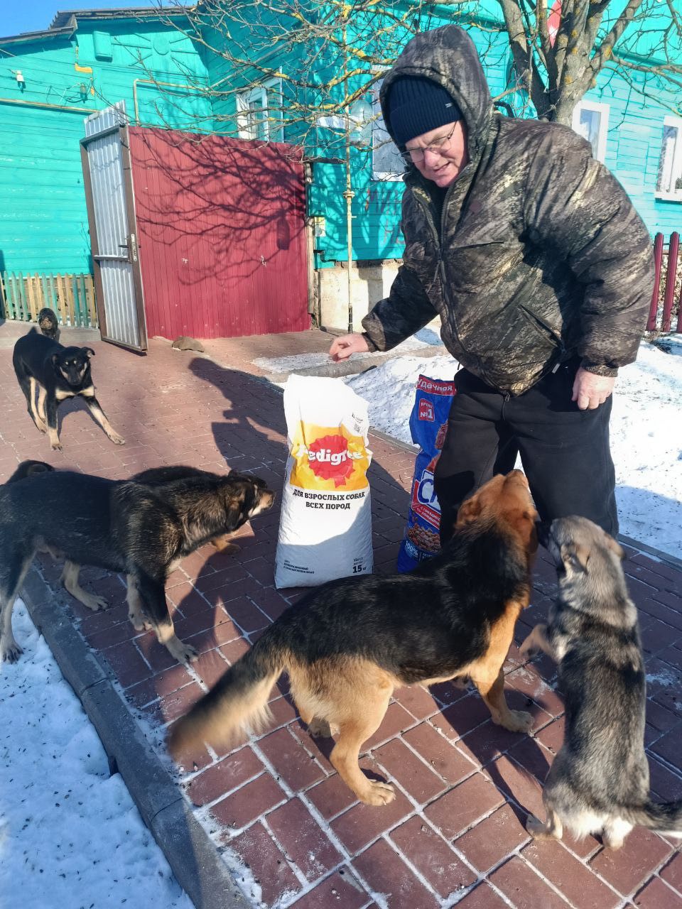 Активисты проекта «Защита животного мира» передали партию кормов для бездомных животных Коренево Активисты проекта «Защита животного мира» передали партию кормов для бездомных животных Коренево