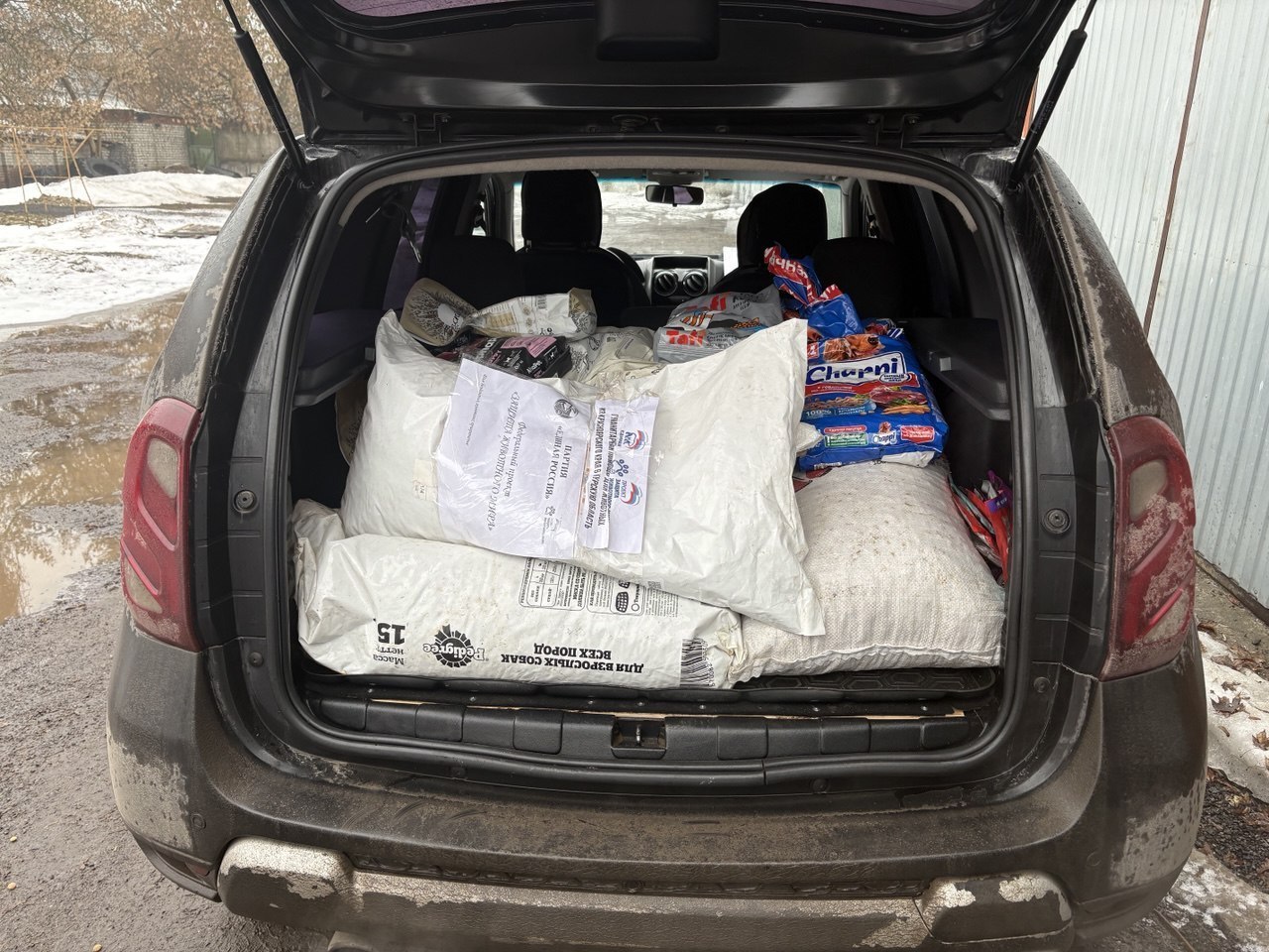 Активисты проекта «Защита животного мира» передали партию кормов для бездомных животных Коренево Активисты проекта «Защита животного мира» передали партию кормов для бездомных животных Коренево