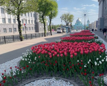 «Нам нечего здесь стесняться, мы не жен своих проводим»