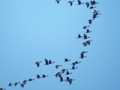 ���� ������������ � ������ �����